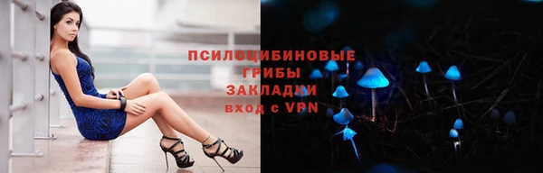 трава Богородицк