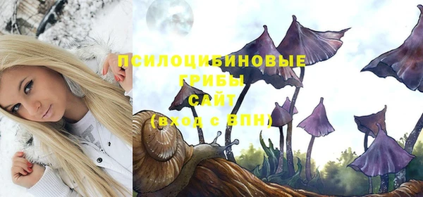эйфоретик Богданович