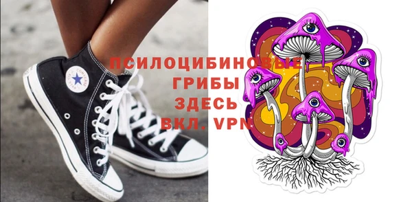 эйфоретик Богданович