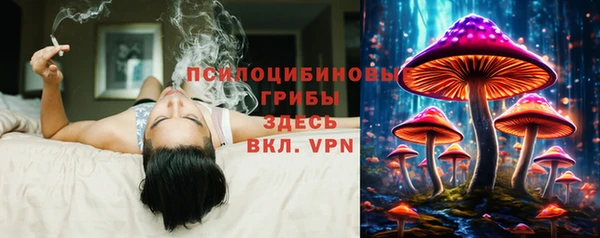 COCAINE Богородск