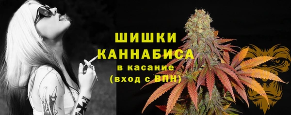 mdma Бородино