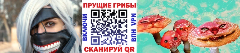 Псилоцибиновые грибы Cubensis  Буйнакск 